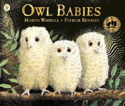 Owl Babies- Boardbook
