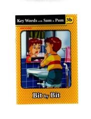KEY WORDS WITH SAM & PAM 3b BIT BY BIT