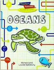 Flowchart Explorers Ecosystems: Oceans