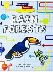 Flowchart Explorers Ecosystems: Rain Forests
