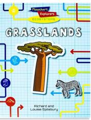 Flowchart Explorers Ecosystems: Grasslands