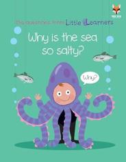 Why is the sea so salty? (Big Questions From Little Learners)